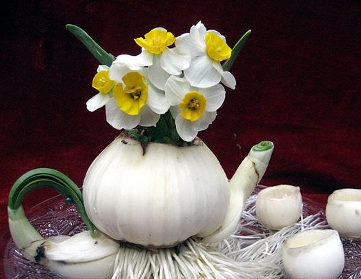 水仙盆景 水仙盆景