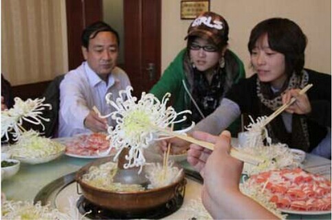 秋季菊花入菜 秋季菊花入菜