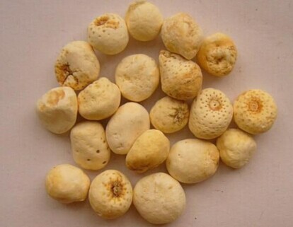 可赏可药话半夏