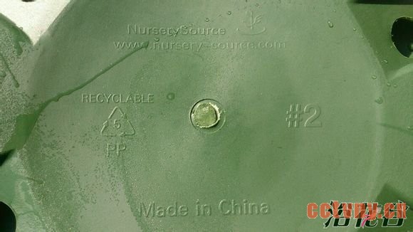 环球加仑盆真假辨别(图)