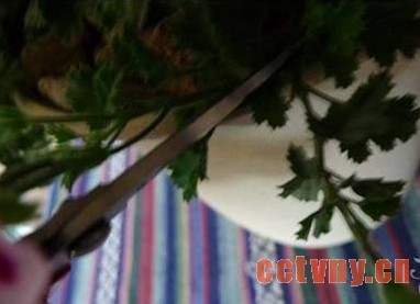 天竺葵越冬生长需求及应对天竺葵退化