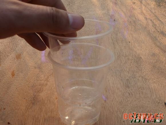 月季花水扦插生根后上盆(图文)