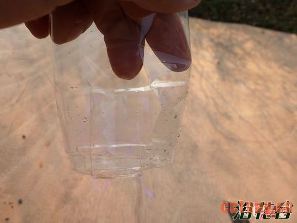 月季花水扦插生根后上盆(图文)