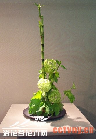 日本插花欣赏(图)