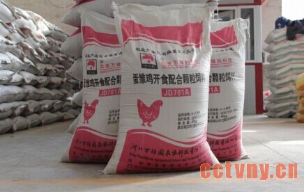 肉鸡饲料中添加调味剂