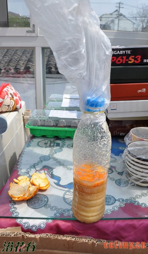 豆渣也可以做肥料 附不臭沤肥法