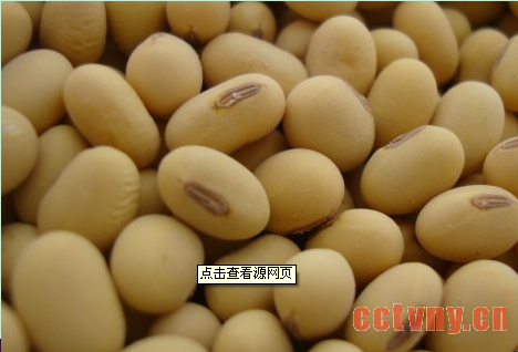 大豆种子入库条件