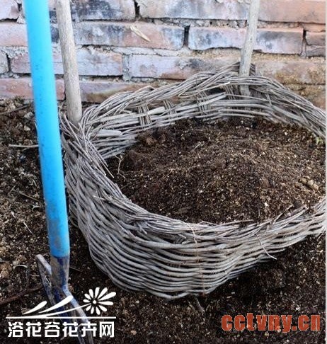 堆肥