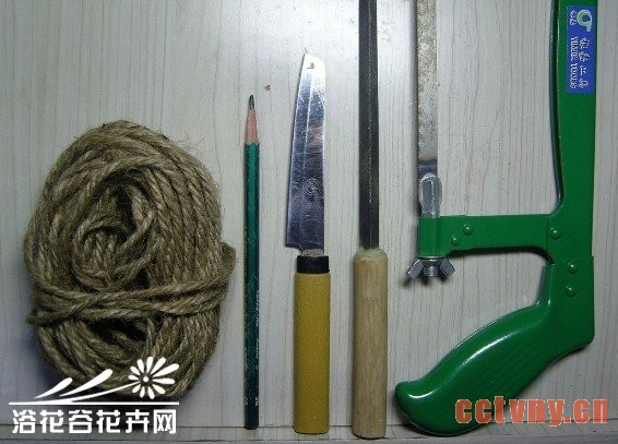 废物利用-椰子DIY吊盆