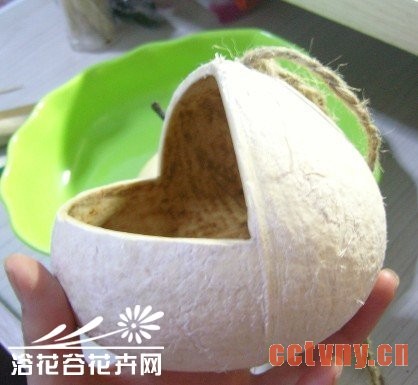 废物利用-椰子DIY吊盆