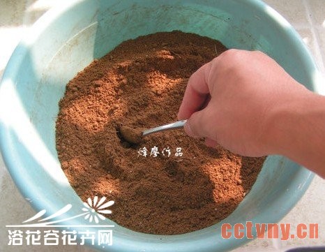自制颗粒营养土过程