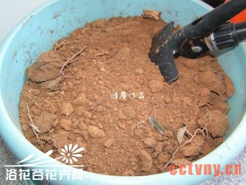 自制颗粒营养土过程