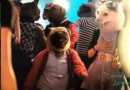 笑到抽筋！神配乐毫无违和感的动物 (172播放)