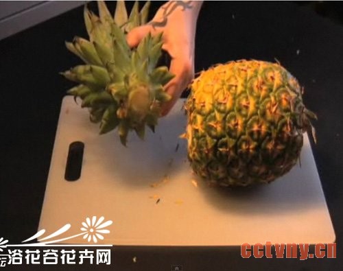 家养菠萝