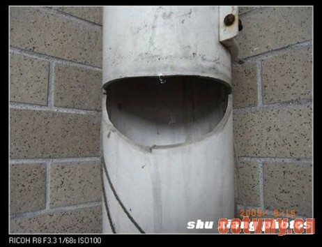 阳台族养花获取雨水的方法
