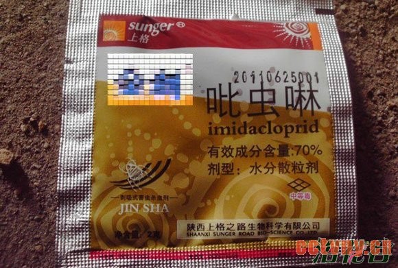 月季花常见病用药