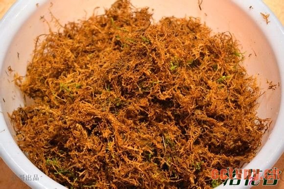 兰花老芦头的捂法（图文）