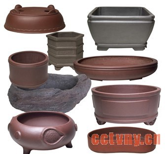 家庭养花的基本技术-花盆的选用