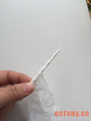 天竺葵授粉结种子过程图