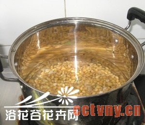 用黄豆制作花肥的简单方法