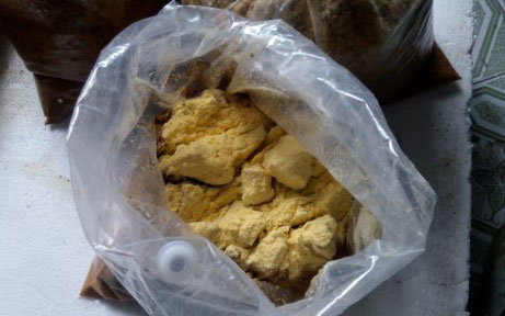 鱼肠肥料的沤制方法