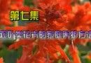 盆栽花卉家庭养护方法<七> (50播放)