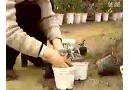 花卉设施栽培教学视频 (83播放)