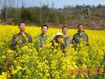“杂交油菜大王”罗三培的“农业梦”