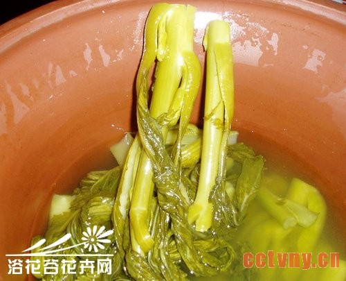 巧用酸菜水增加土壤酸性