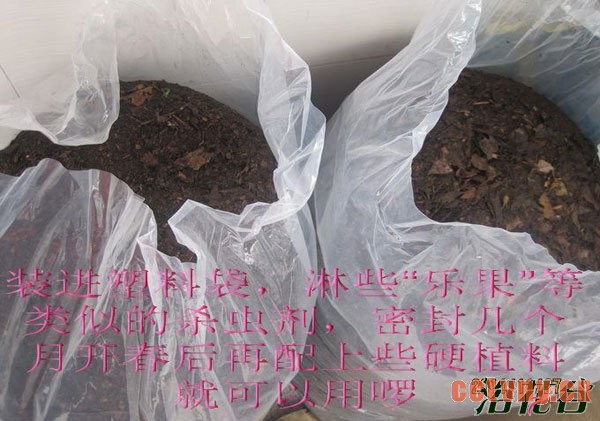 腐叶土制作(图文)