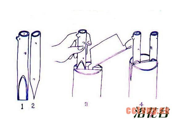 月季嫁接技术常用方法