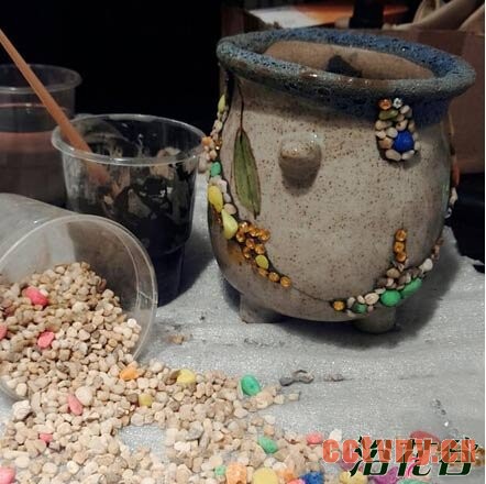 花盆碎了怎么办