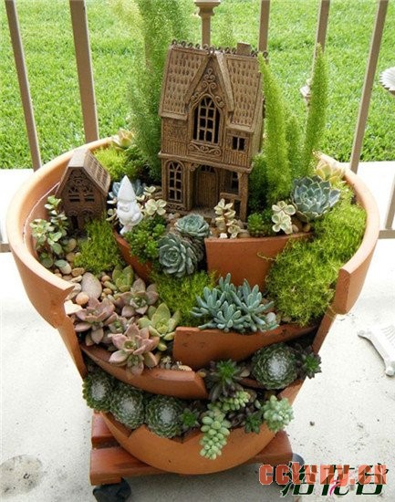 花盆碎了怎么办