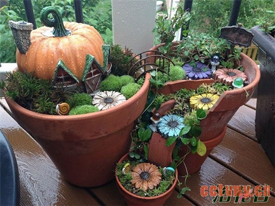 花盆碎了怎么办