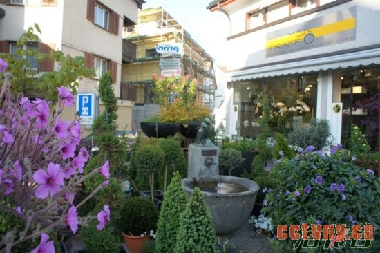 自来水浇花好吗？