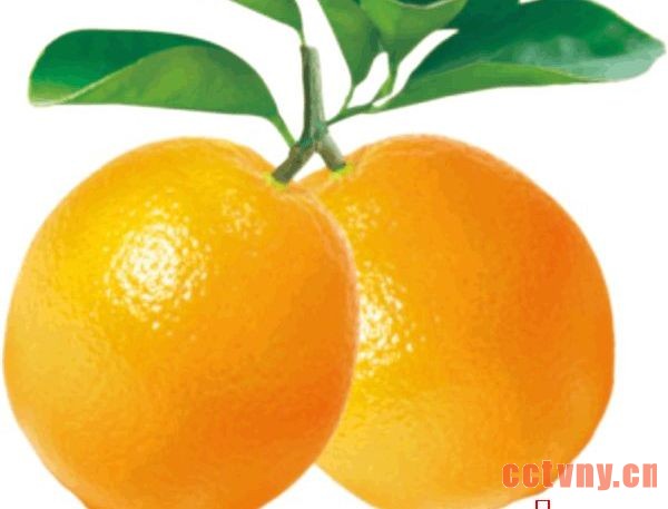 孙泽富和他的“十年”脐橙故事