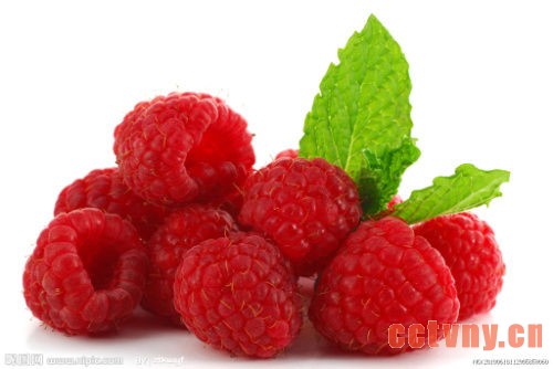 海归“农民”的有机树莓农场