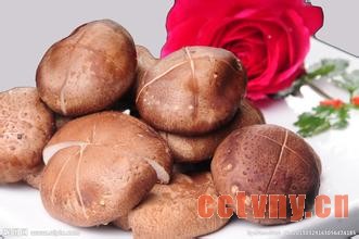 香菇撑起致富伞 农妇也有大作为