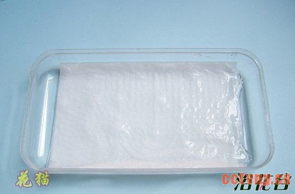 值得注意的是，如果催芽时间过长，种子萌发的根部是水生根，不利于移植，容易死亡。