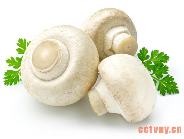 养牛又种菇科技铺富路