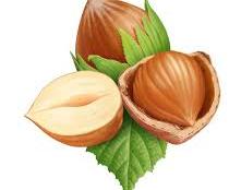 小木耳铺就致富路 大榛子变成&ldquo;金疙瘩&rdquo;