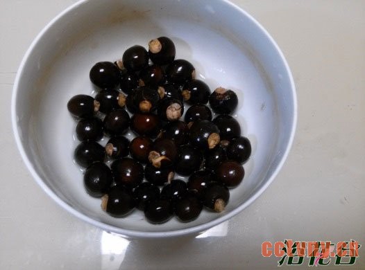 桂圆种子制作的小盆栽(图文)