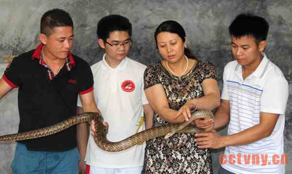 劳模“蛇王”带领群众同致富