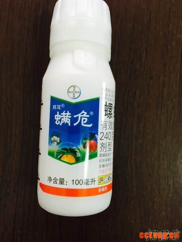 月季红蜘蛛用什么药