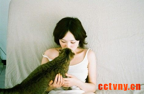 揭晓养猫猫能缓解人的情绪秘诀