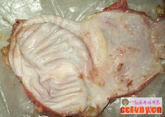 家禽解剖基础技术知识3(图片)