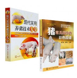 现代实用养猪技术大全+猪常见病诊治 彩色图谱