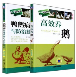 【全套2册】高效养鹅关键技术书籍+鹅病防治技术书