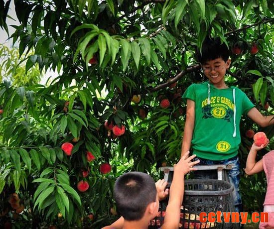 黄松峪乡黑豆峪村——京东大溶洞附近 三农网 三农