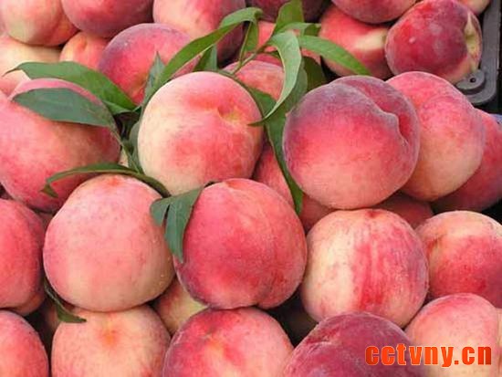 王辛庄镇放光村——高效农业生态示范区 三农网 三农